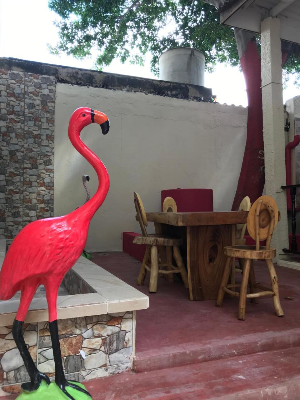 Mi Casa Hostel Ríohacha المظهر الخارجي الصورة